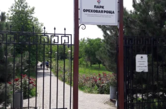 Парк «Ореховая роща» в Анапе: как добраться и что посмотреть