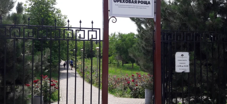 Парк «Ореховая роща» в Анапе: как добраться и что посмотреть