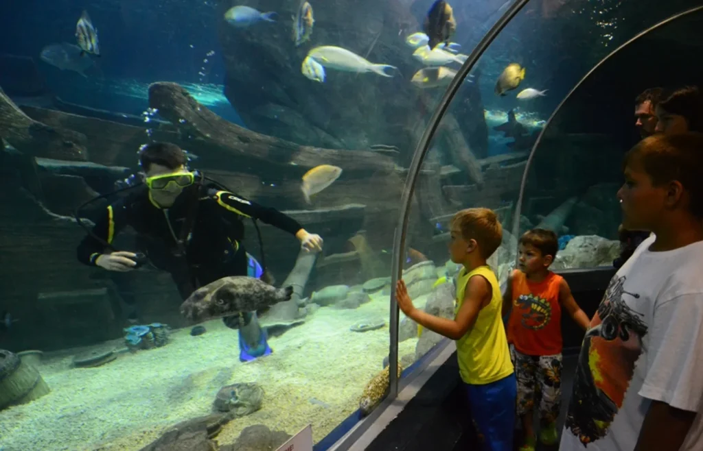 Подводный тоннель Sochi Discovery World Aquarium