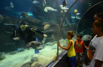 Подводный тоннель Sochi Discovery World Aquarium