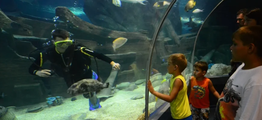 Подводный тоннель Sochi Discovery World Aquarium